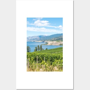 Summer View of Vineyards and Okanagan Lake Posters and Art